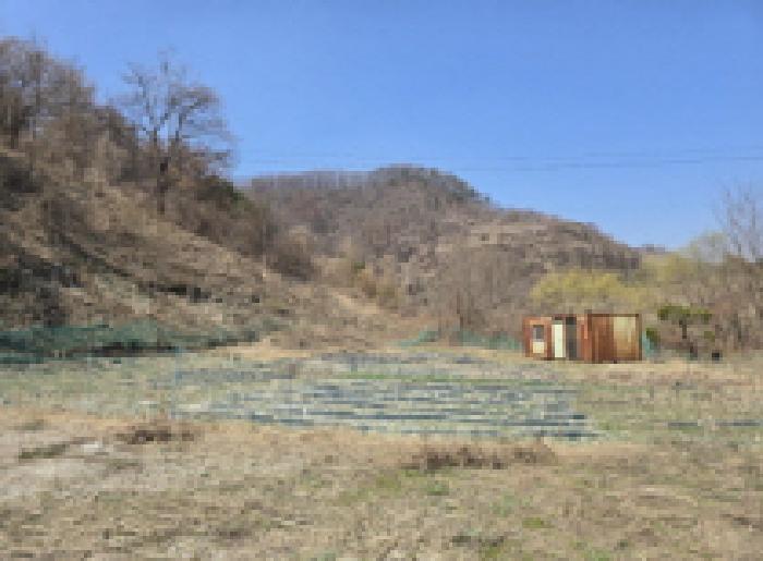 2025타경737 경매 물건 대표 사진