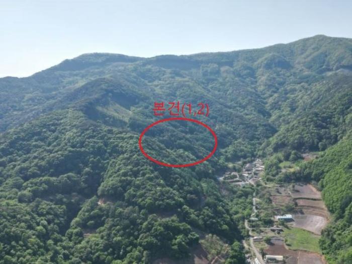 2024타경572 경매 물건 대표 사진