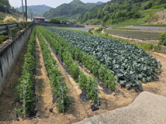2025타경102 경매 물건 대표 사진