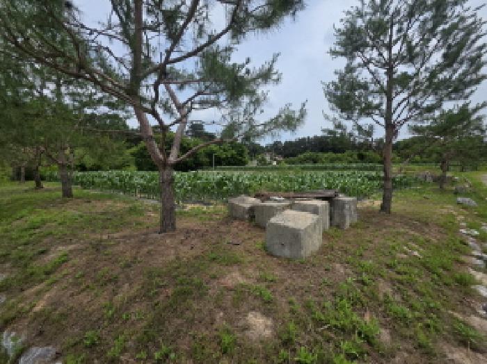 2025타경110 경매 물건 대표 사진