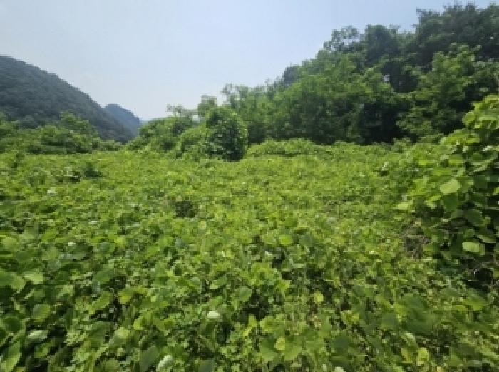 2025타경126 제천지원 전답 법원경매 사진