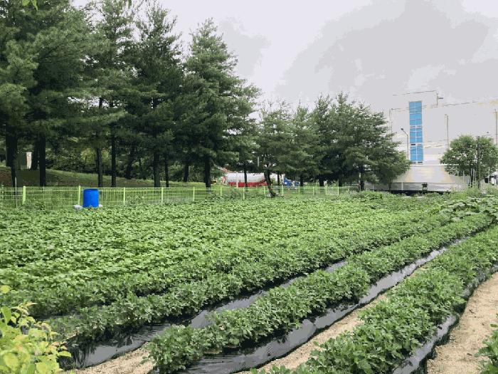 2025타경134 경매 물건 대표 사진