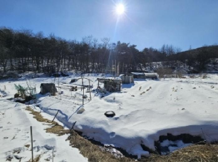 2025타경36 경매 물건 대표 사진
