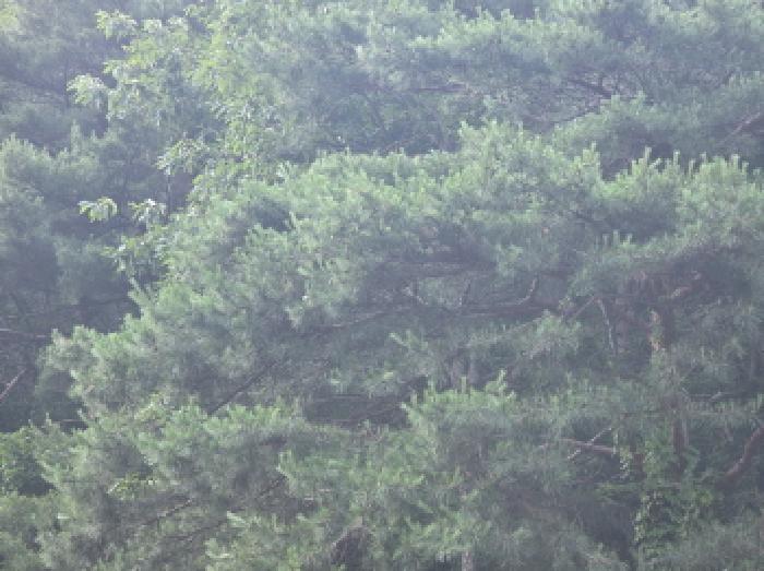 2025타경5339 경매 물건 대표 사진