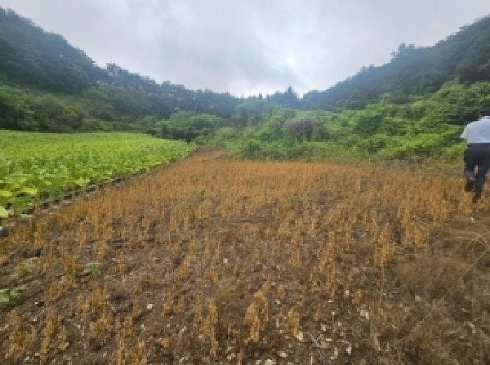 2025타경5358 경매 물건 대표 사진