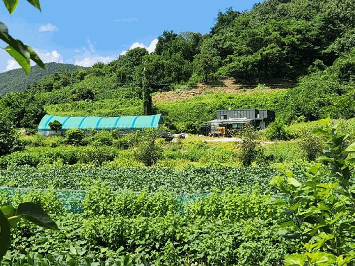 2025타경5403 경매 물건 대표 사진