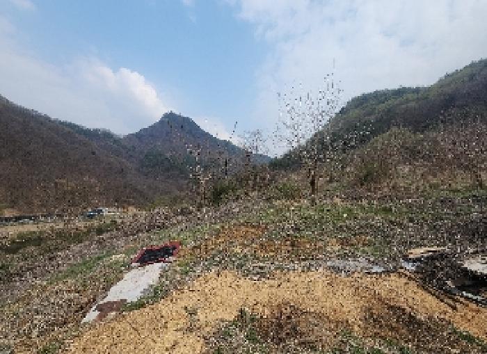 2025타경10117 경매 물건 대표 사진