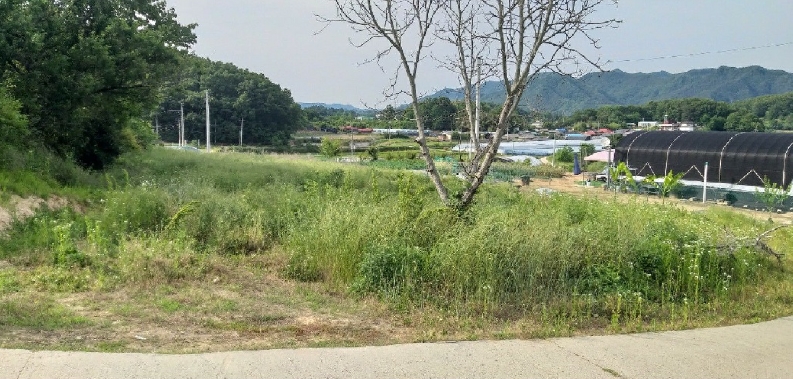 2025타경10146 경매 물건 대표 사진