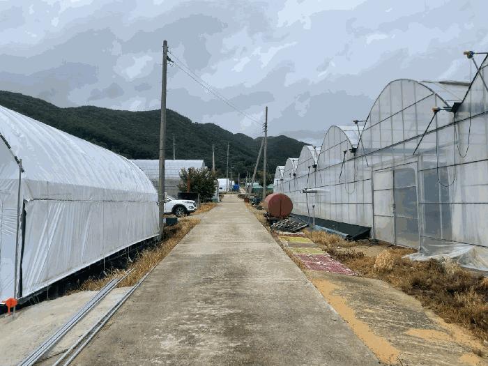 2025타경10164 경매 물건 대표 사진