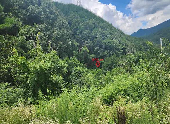 2025타경10171 경매 물건 대표 사진