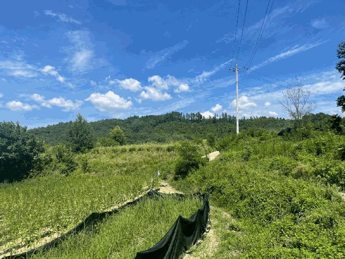 2025타경10182 경매 물건 대표 사진