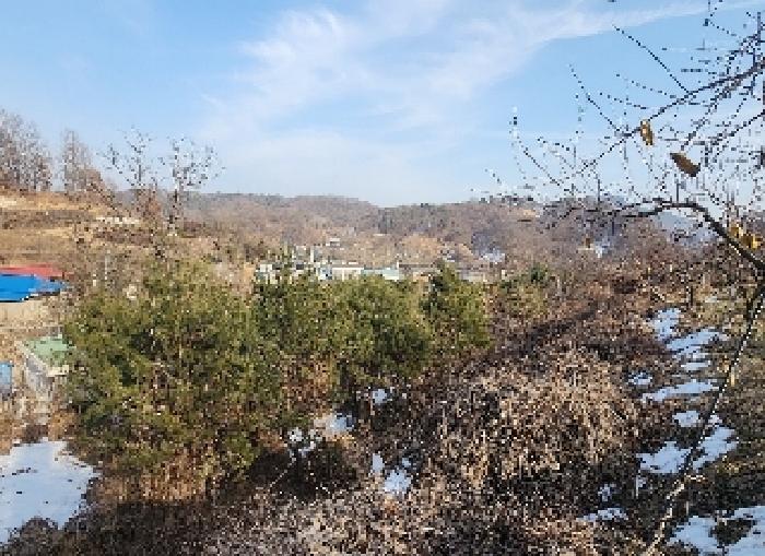 2025타경39 경매 물건 대표 사진