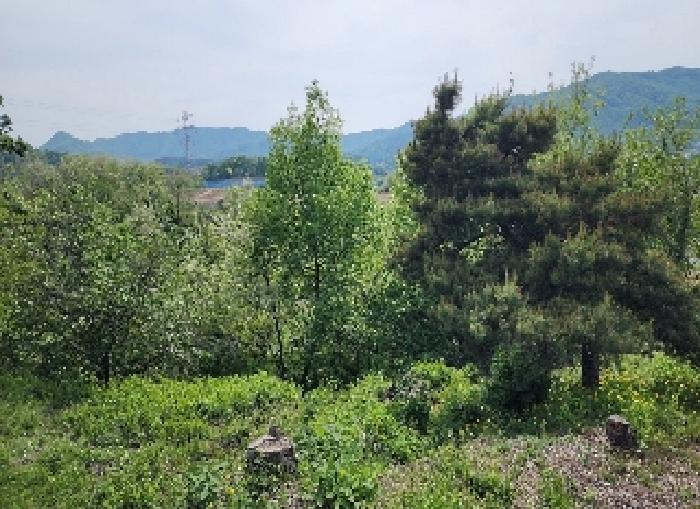 2025타경72 경매 물건 대표 사진