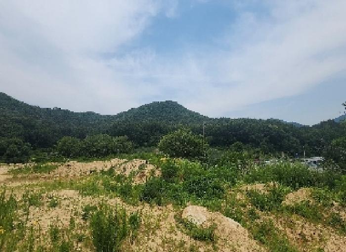 2025타경84 경매 물건 대표 사진