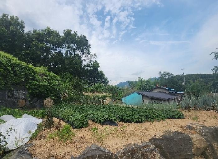 2025타경88 경매 물건 대표 사진