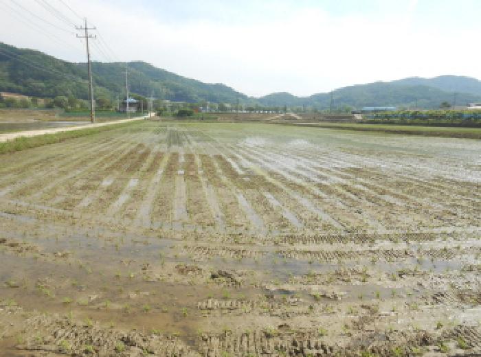 2025타경3463 경매 물건 대표 사진