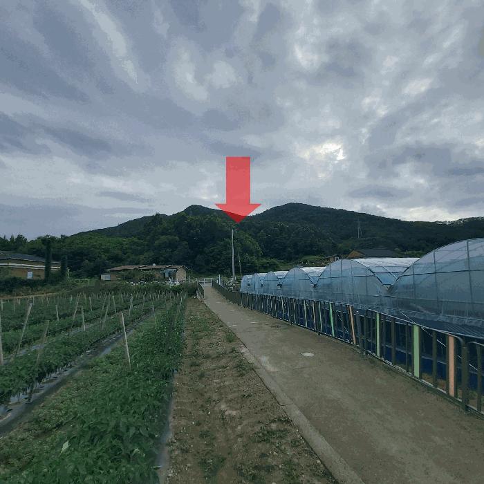 2025타경3616 대전지방법원 대지,임야,전답 법원경매 사진