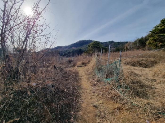 2025타경4035 경매 물건 대표 사진