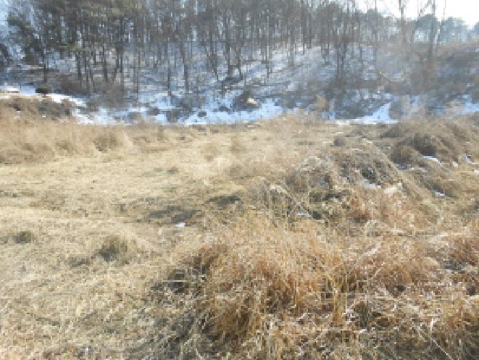 2025타경501788 경매 물건 대표 사진