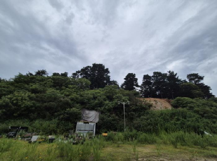 2025타경502893 경매 물건 대표 사진