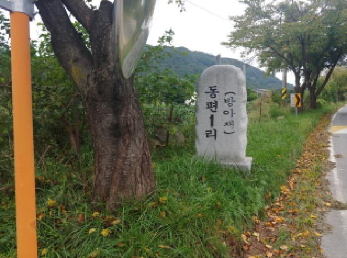 2025타경503372 대전지방법원 임야 법원경매 사진