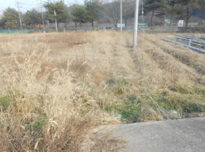2025타경503809 경매 물건 대표 사진