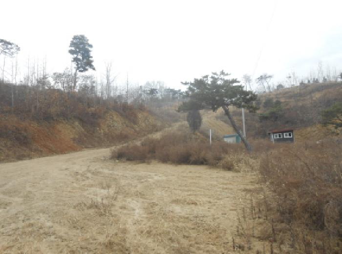 2025타경504045 경매 물건 대표 사진