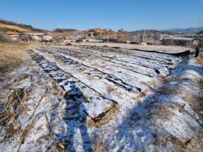 2026타경600042 대전지방법원 단독주택다가구 법원경매 사진