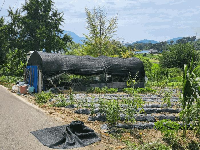 2025타경1111 경매 물건 대표 사진