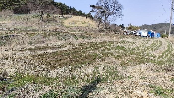 2025타경15597 경매 물건 대표 사진