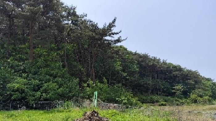 2025타경15704 경매 물건 대표 사진