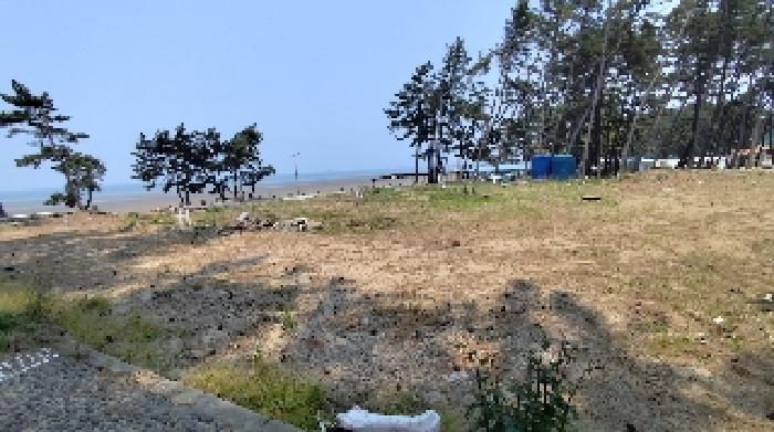 2025타경15736 홍성지원 대지 법원경매 사진