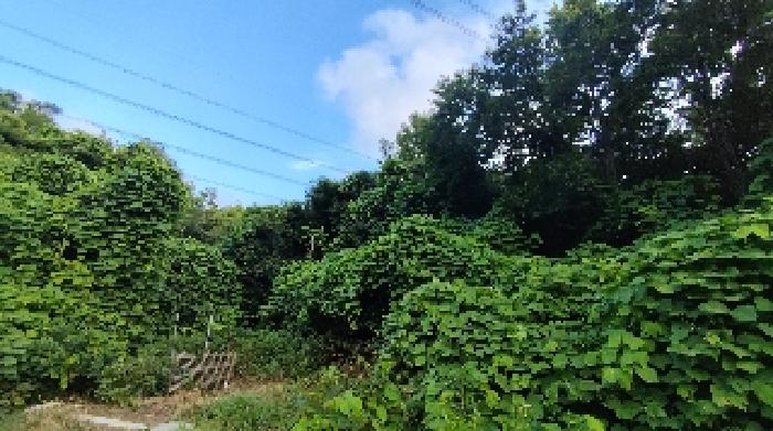2025타경15816 경매 물건 대표 사진
