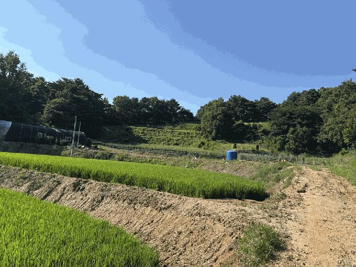 2025타경15842 경매 물건 대표 사진