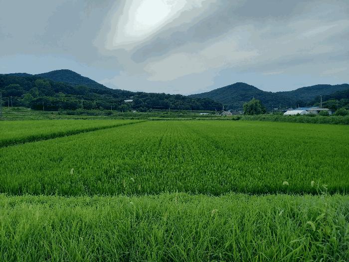 2025타경15861 경매 물건 대표 사진