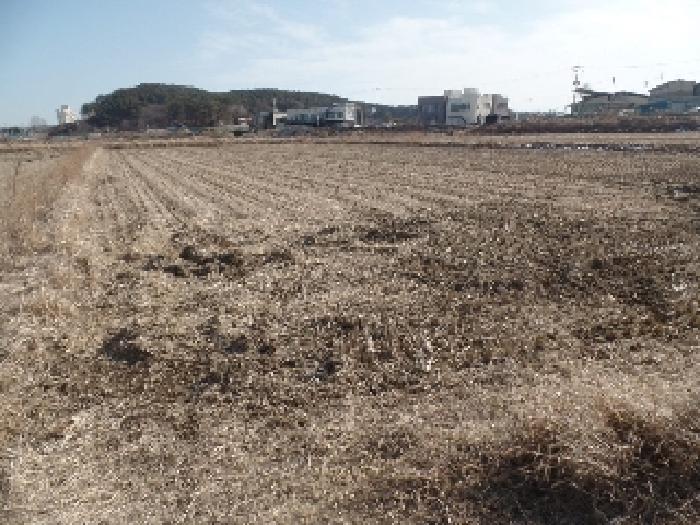 2024타경1817 논산지원 답 법원경매 사진