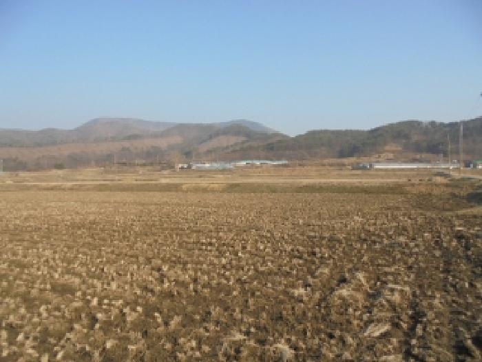 2025타경20276 경매 물건 대표 사진