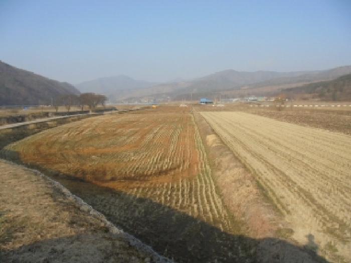 2025타경20276 경매 물건 대표 사진