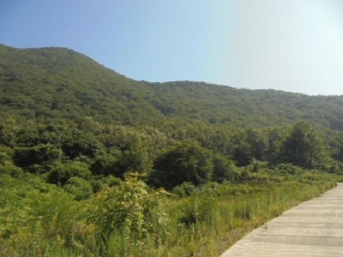2025타경20408 논산지원 임야 법원경매 사진