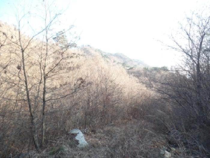 2025타경396 논산지원 임야 법원경매 사진