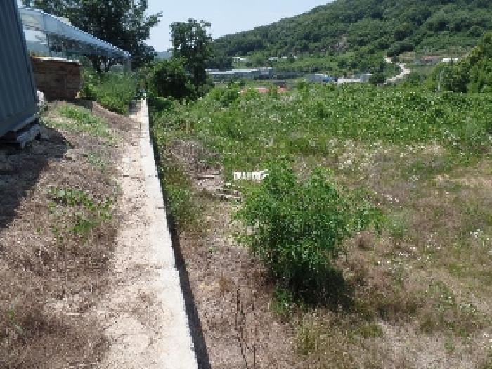 2025타경413 경매 물건 대표 사진