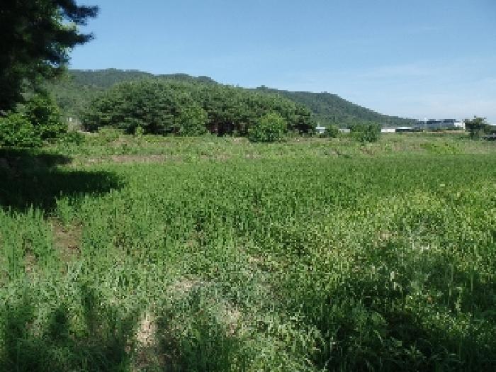 2025타경439 경매 물건 대표 사진