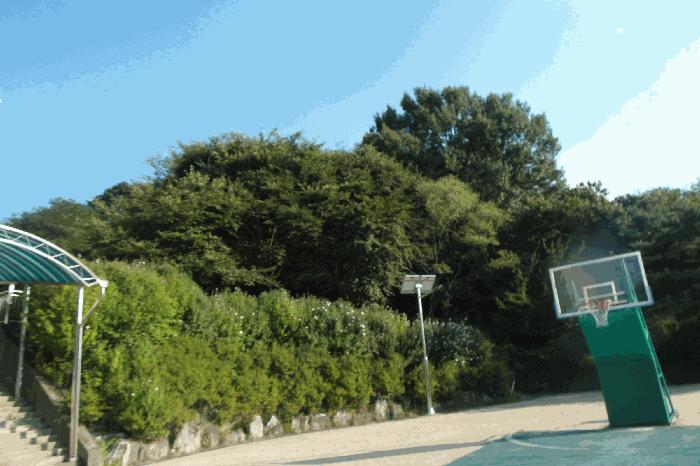 2025타경468 논산지원 임야 법원경매 사진