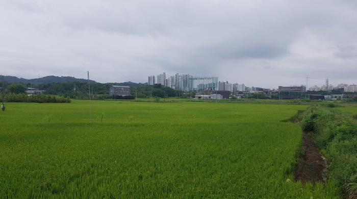 2025타경12254 경매 물건 대표 사진