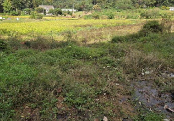 2025타경12474 천안지원 전답 법원경매 사진