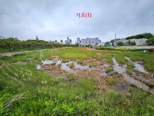 2025타경489 경매 물건 대표 사진