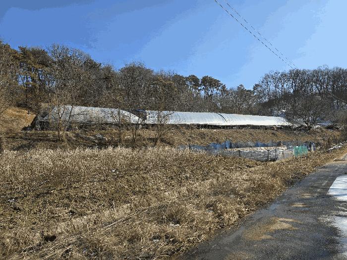 2026타경10126 경매 물건 대표 사진