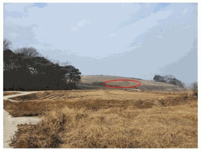 2026타경10162 경매 물건 대표 사진