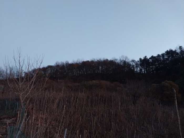 2024타경22124 경매 물건 대표 사진