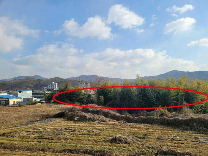 2024타경22490 경매 물건 대표 사진